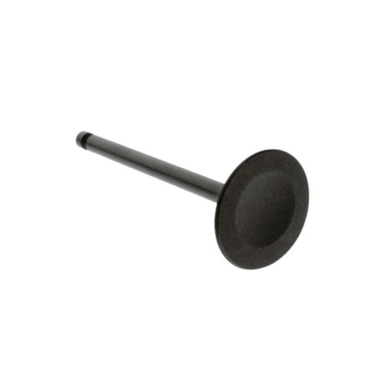 INTAKE VALVE